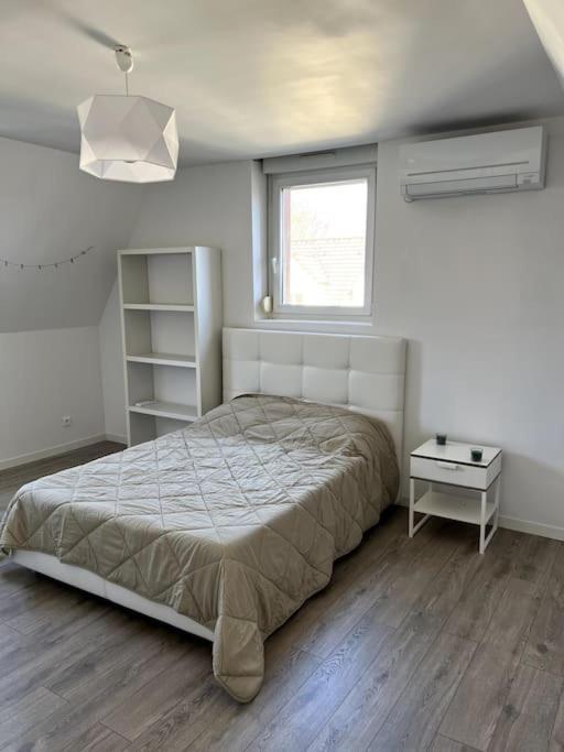 Appartement F5 Maison De Maitre ミュルーズ エクステリア 写真
