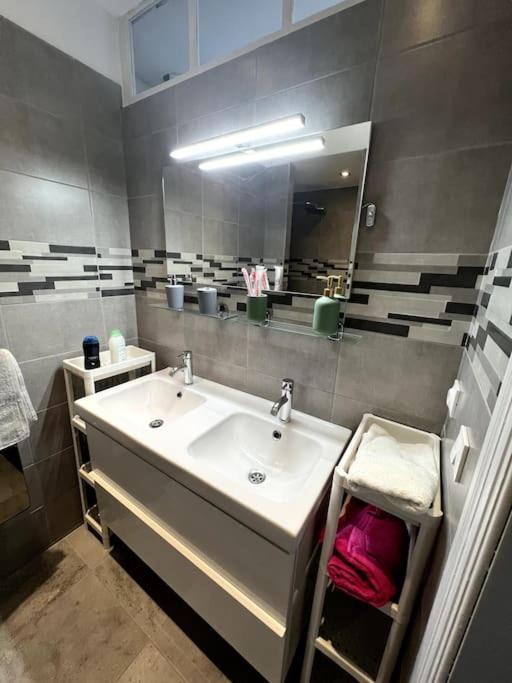 Appartement F5 Maison De Maitre ミュルーズ エクステリア 写真