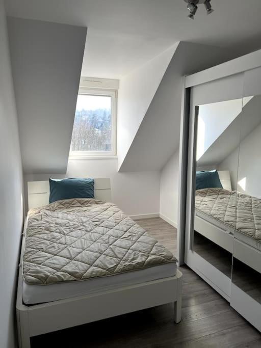 Appartement F5 Maison De Maitre ミュルーズ エクステリア 写真