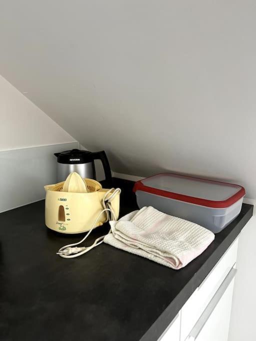 Appartement F5 Maison De Maitre ミュルーズ エクステリア 写真