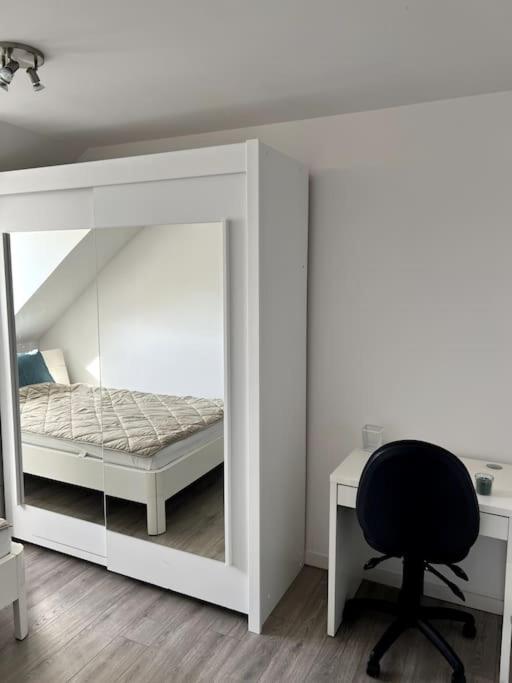 Appartement F5 Maison De Maitre ミュルーズ エクステリア 写真