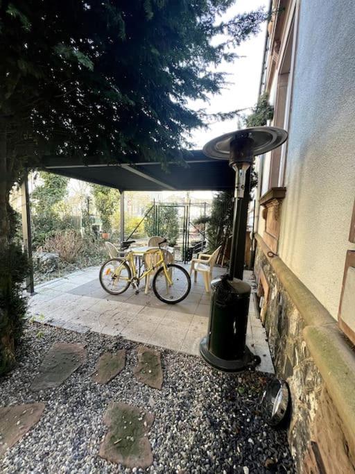 Appartement F5 Maison De Maitre ミュルーズ エクステリア 写真