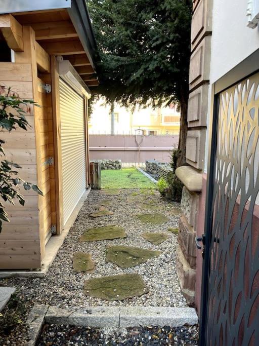 Appartement F5 Maison De Maitre ミュルーズ エクステリア 写真