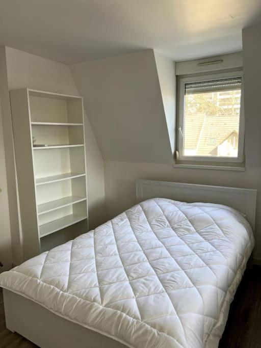 Appartement F5 Maison De Maitre ミュルーズ エクステリア 写真