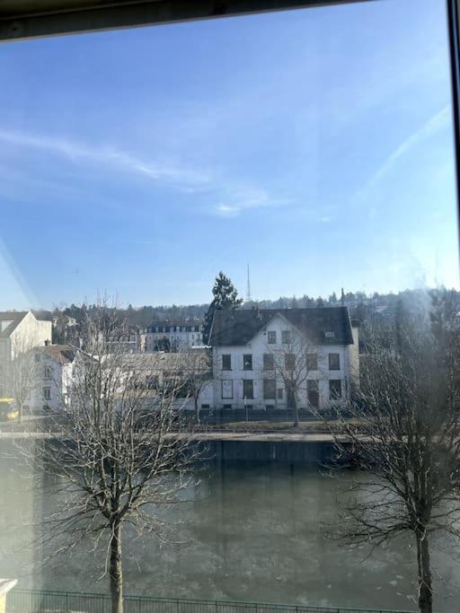 Appartement F5 Maison De Maitre ミュルーズ エクステリア 写真