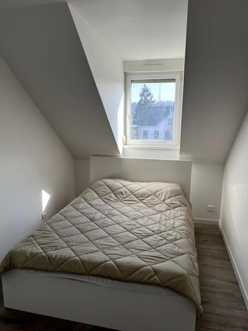Appartement F5 Maison De Maitre ミュルーズ エクステリア 写真