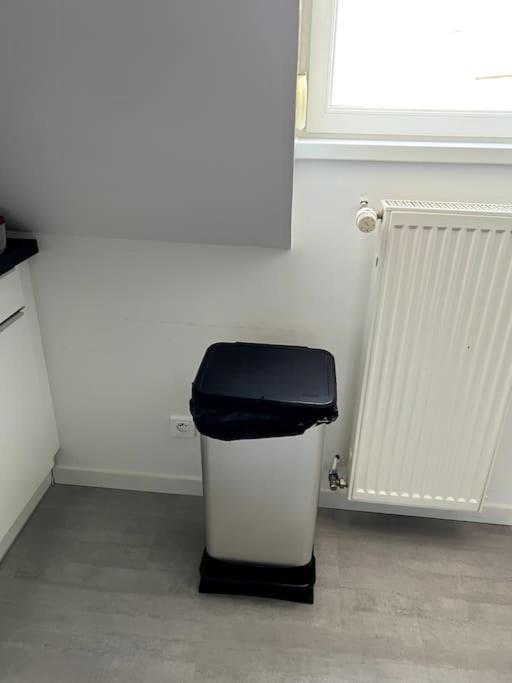 Appartement F5 Maison De Maitre ミュルーズ エクステリア 写真