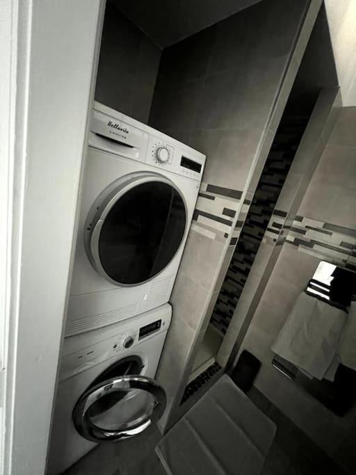Appartement F5 Maison De Maitre ミュルーズ エクステリア 写真